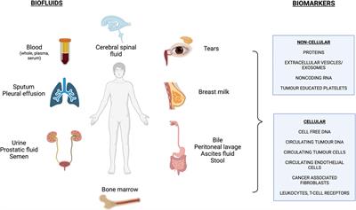 The expansion of liquid biopsies to vascular care: an overview of existing principles, techniques and potential applications to vascular malformation diagnostics